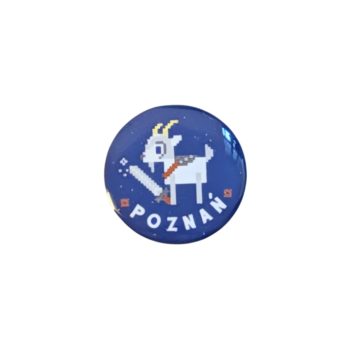 pin2.png