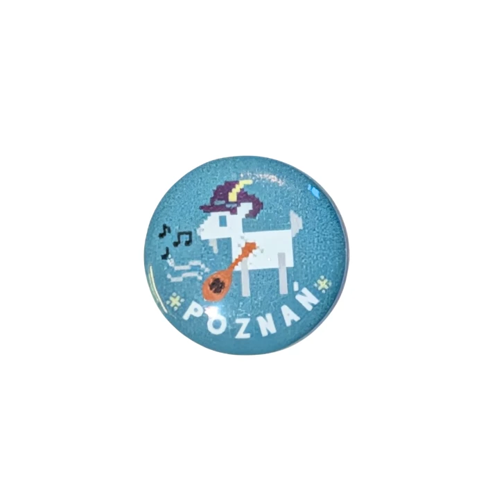pin3.png