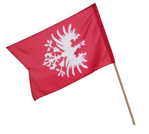 Flaga-Powstania-Wielkopolskiego-110-x-70-tunel-Temat-Polska.jpeg