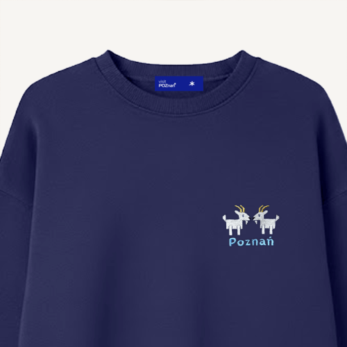 poznań_bluza_koziołki_02.png